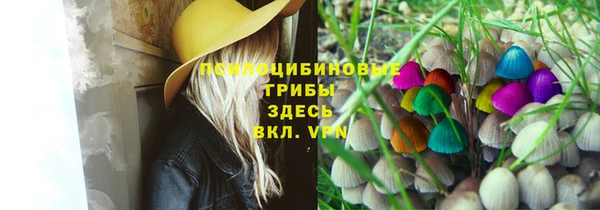 mdpv Волосово