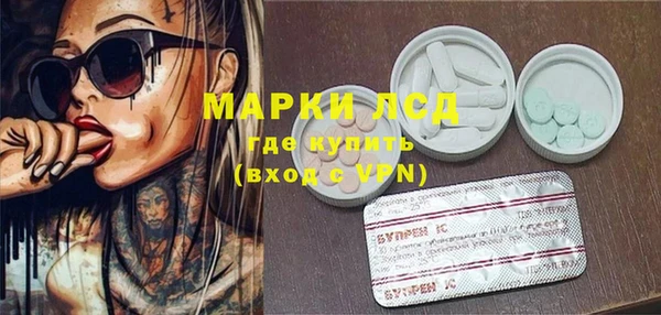 гидра Володарск