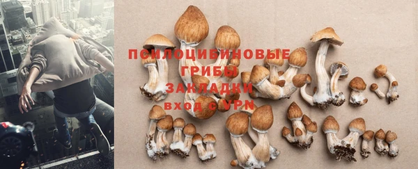 mdpv Волосово