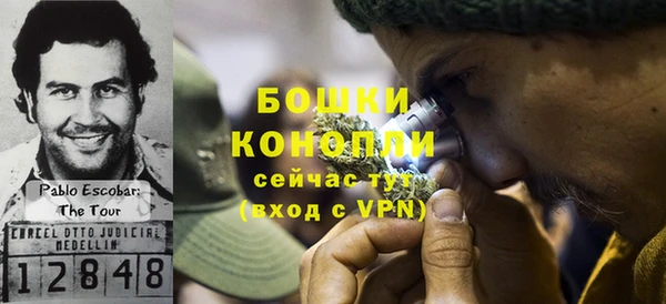 гидра Володарск