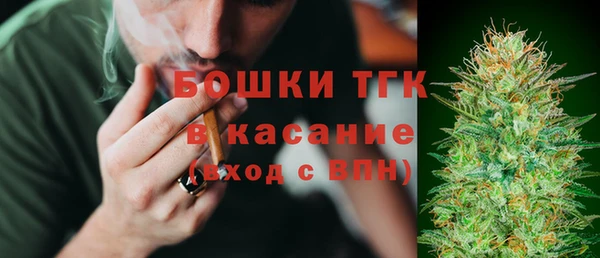 гидра Володарск